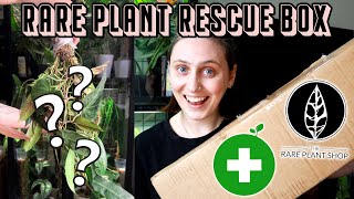 can I save these rare plants? 🌿 The Rare Plant Shop Rescue Box Haul screenshot 3