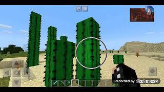 10 De Março De 2021