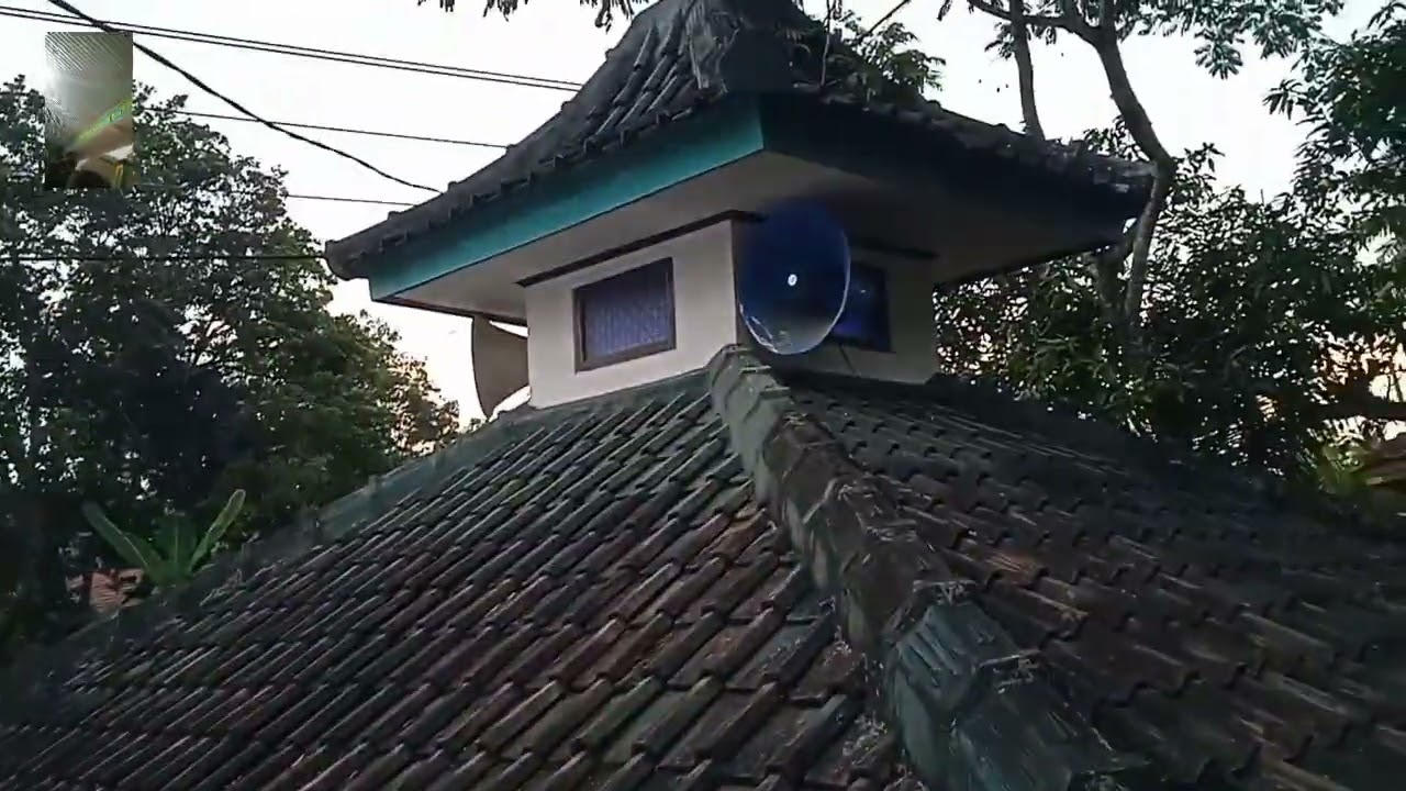 suasana adzan magrib di kampung saya di Mushola Al iksan