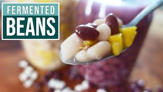 FERMENTED BEANS & LENTILS  delicious probiotic beans with a zing!