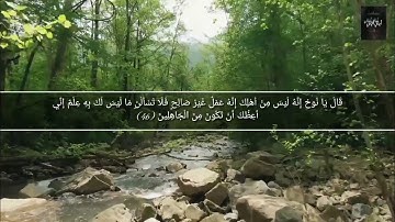 سورة الفاتحة مع ماتيسر من سورة هود للقارىُ الشيخ رعد الكردي من قناة أياتي أياتي HD