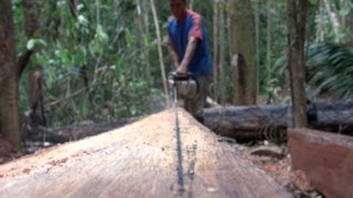 Timber and Livelihoods in Ecuador