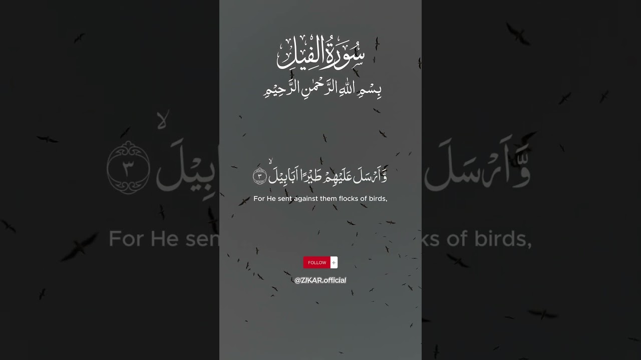 Surah Al Fil,105:1-5, Recitor:Mishary Rashid Alafasy.