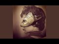 Rottenfish