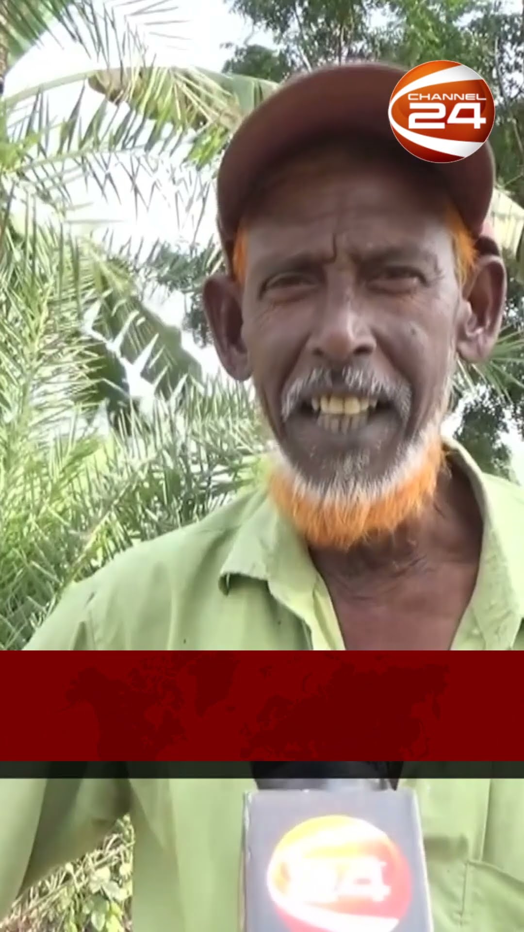 কেরু এন্ড কোম্পানির আখ মাড়াই চিনি উৎপাদন শুরু কাল |#Channel24 #news #Channel24_news
