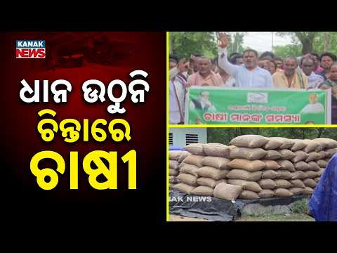 Farmers in Tears! 'Dalal Raj' at Bangomunda Mandi; Paddy Rotting in Open!