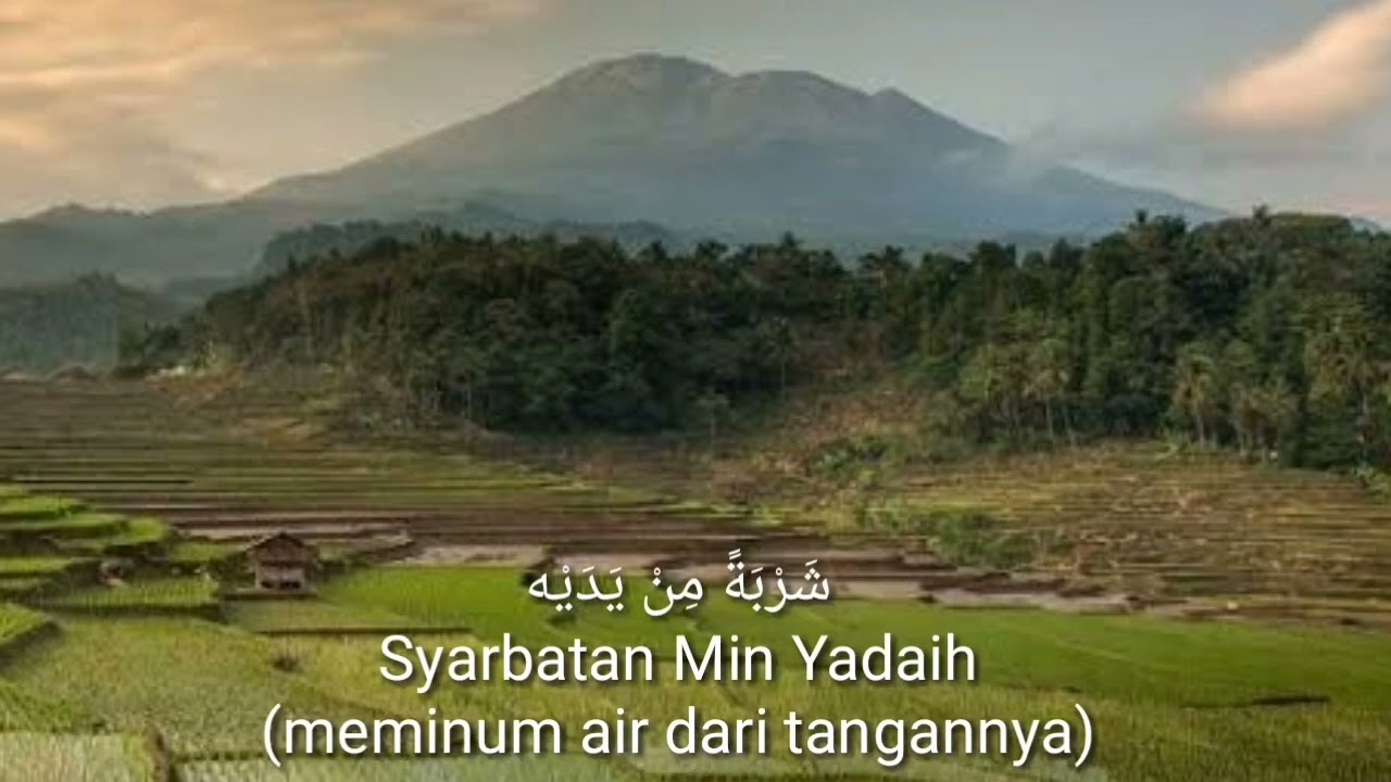 sholawat Sayyidul Anbiya cover
