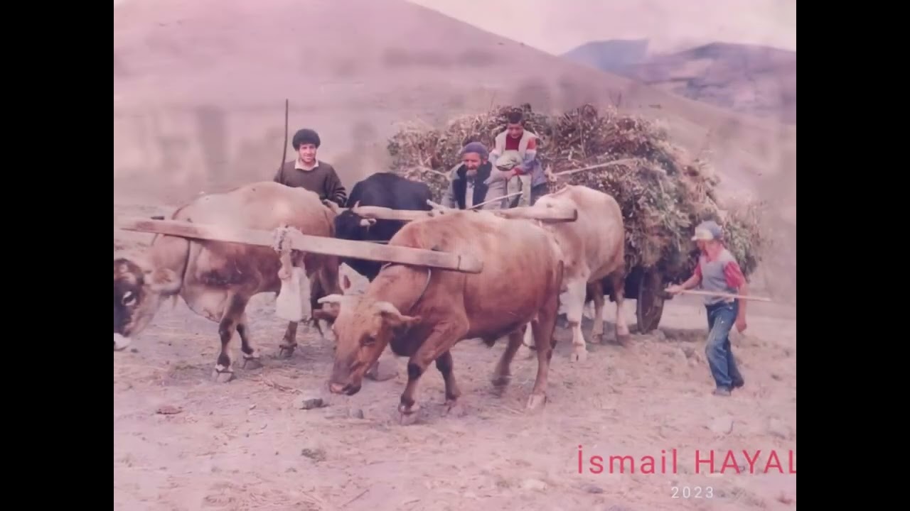 GÜMÜŞHANE KÖY DESTANI