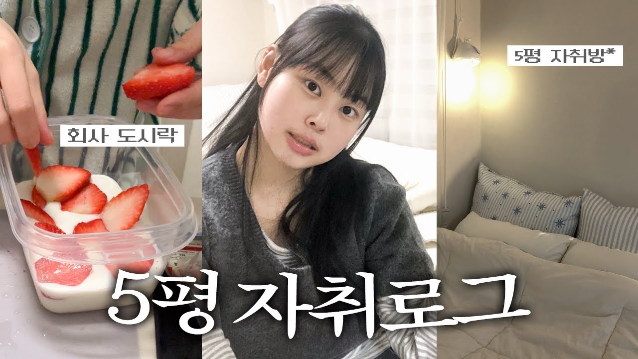 5평자취vlog 사회초년생의 월급날..🤍I회사도시락I 5평자취일상|연희동 맛집🍜