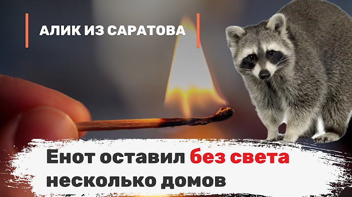 Енот оставил без света несколько домов. Алик из Саратова