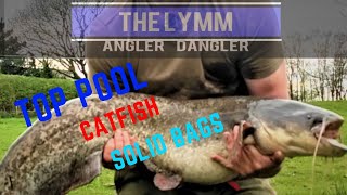 Catfishing up North - Top Pool Lymm AC - Solid bag fishing