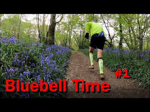 Trail Running: Bluebell Time #1.