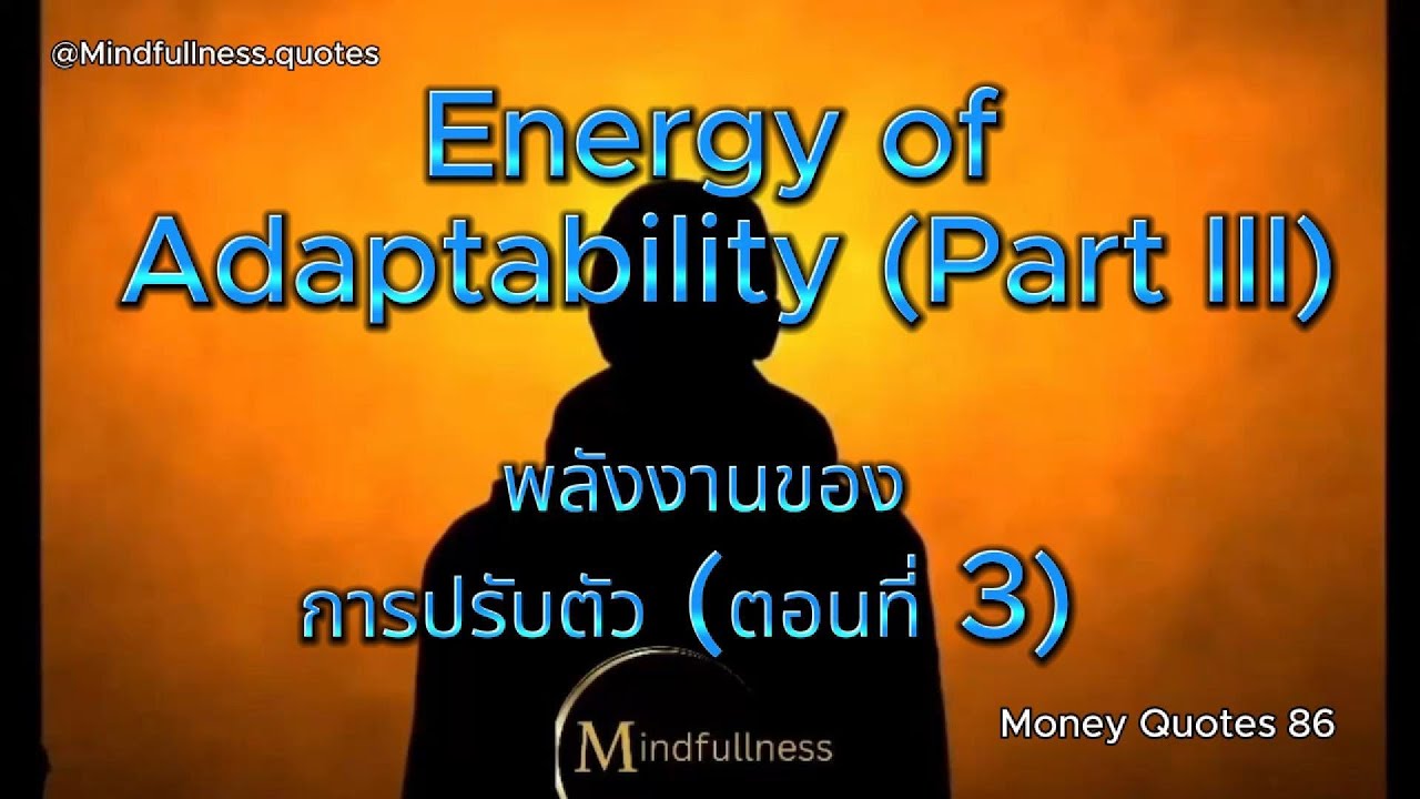 86. Energy of Adaptability (Part III)