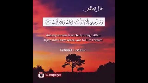 للقارئ هزاع البلوشى   سوره هود   صوت الهادئ ورحه النفس