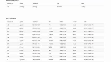 smspins.com Instruction video v2