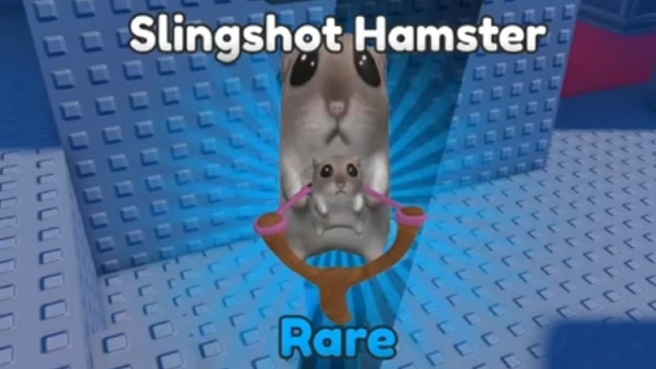 Find The Hamster Where To Find The Slingshot Hamster Roblox YouTube 