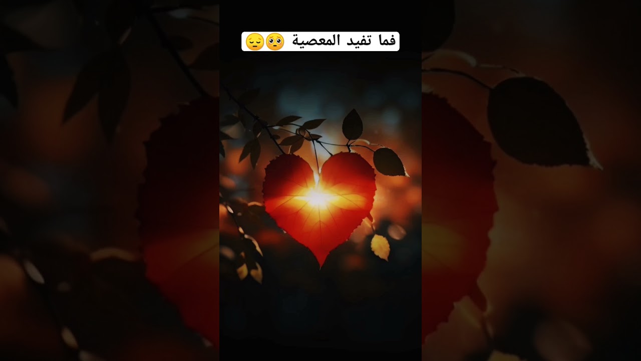 فما تفيد المعصية 🥺😔 #اكسبلور #العثيمين #المصحف #لايك #تيك_توك #تصويري #تصميمي #حالات_واتس #دويتو