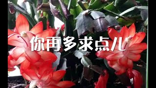 201311 你再多求点儿30409