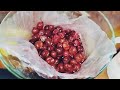 Новый год идёт Подготовка к новому году Настоечки Вишня