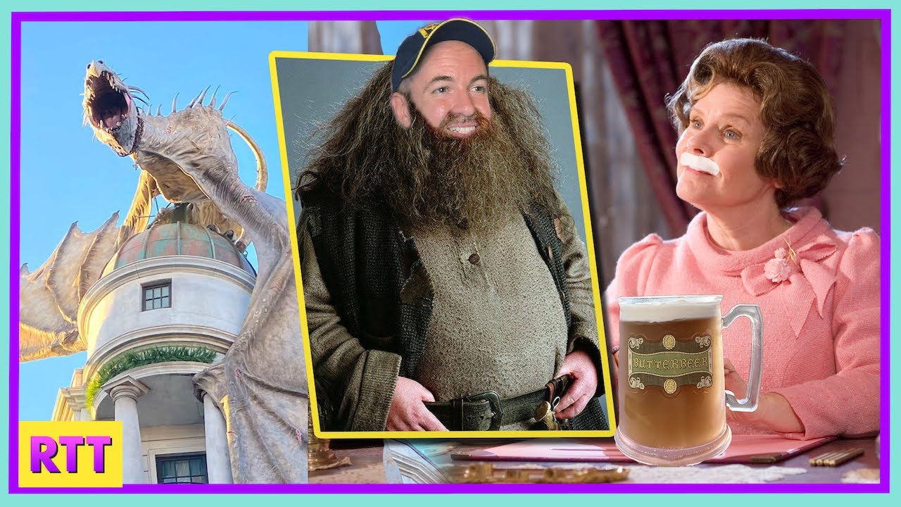 Disney Fans React to Harry Potter World