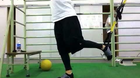 www.nicodojo.net - TRX barbell split squat