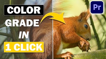 One-Click For Perfect Color Grading/Correction In Premiere Pro