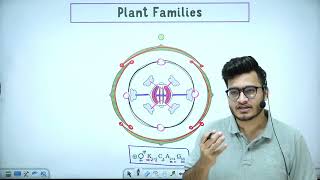 L7: Plant Families: Fabaceae, Solanaceae &amp; Liliaceae | Morphology in Flowering Plants| 11th Class