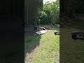 RC Quatsch die 2te #garten #rc #funny