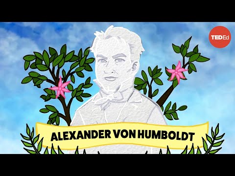 ¿Quién es Alexander