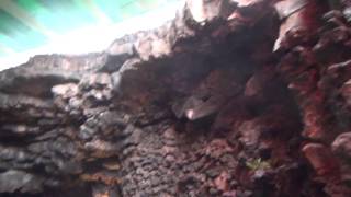 Transatlantic Cruise 2015 120