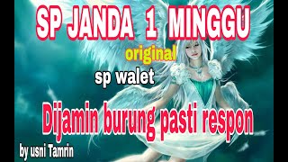 SP JANDA 1 MINGGU || SUARA PANGGIL WALET TERBAIK