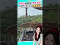 陳喬恩拍戲驚見「野生奇觀」　一抬頭對面樹上藏滿代拍 #shorts