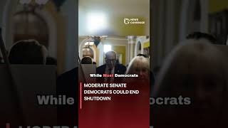 Moderate Senate Democrats Could End Shutdown #politics