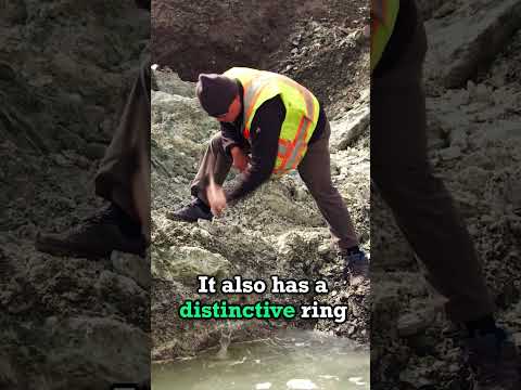 The Sound Of Jade #JadeFever #Shorts