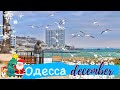 ОДЕССА В ДЕКАБРЕ❗️ПЛЯЖ СОБАЧИЙ❗️ДОМА КАРКАШАДЗЕ❗️ФРАНЦУЗКИЙ БУЛЬВАР❗️ODESSA BEACH DECEMBER 2020❗️🔥