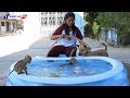 Two Little Monkey Luna And Tiny Olly With Adorable Puppy MoMo Taking Bath