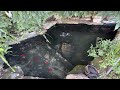 Cleaning out dirty fish ponds part 2 by Paul Talbot