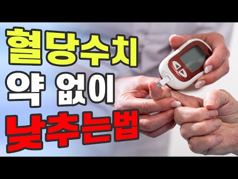 식후2시간혈당