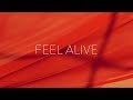 David m  feel alive official