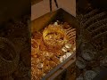 part 8 VIII jungle khani story dinosaur next part