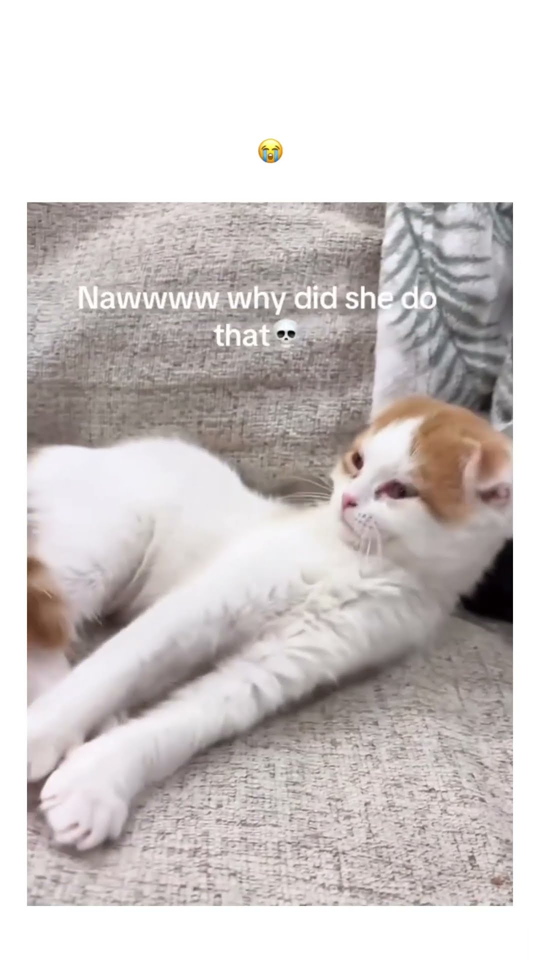 Kittyo like this stretch got me ready for that music video