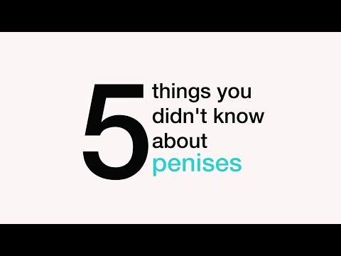 5 things you didn't know about penises