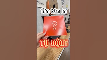 Cân bàn in tự động với Ender 3 V3 SE lớp in đầu tiên hoàn hảo | Bed leveling  #in3D #3dprinting