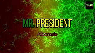 Alborosie - Mr. President (Karaoke Version) HD