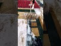 Deep Scraping Satisfaction You Can't Ignore