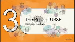 Dynamic Slicing   URSP