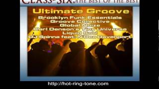 Make Them Like It by Brooklyn Funk Essentials From the Album Classix: Ultimate Groove