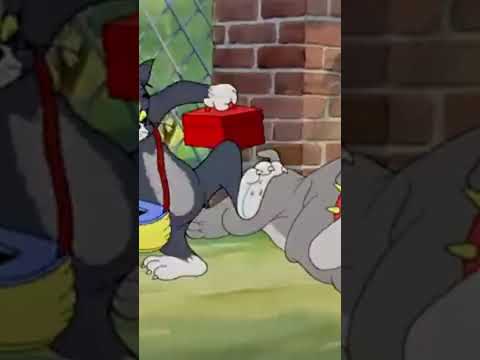 #cattoonz, baby cartoon, car cartoon, kids cartoon, bangla cartoon, new cartoon, sinhala cartoon,