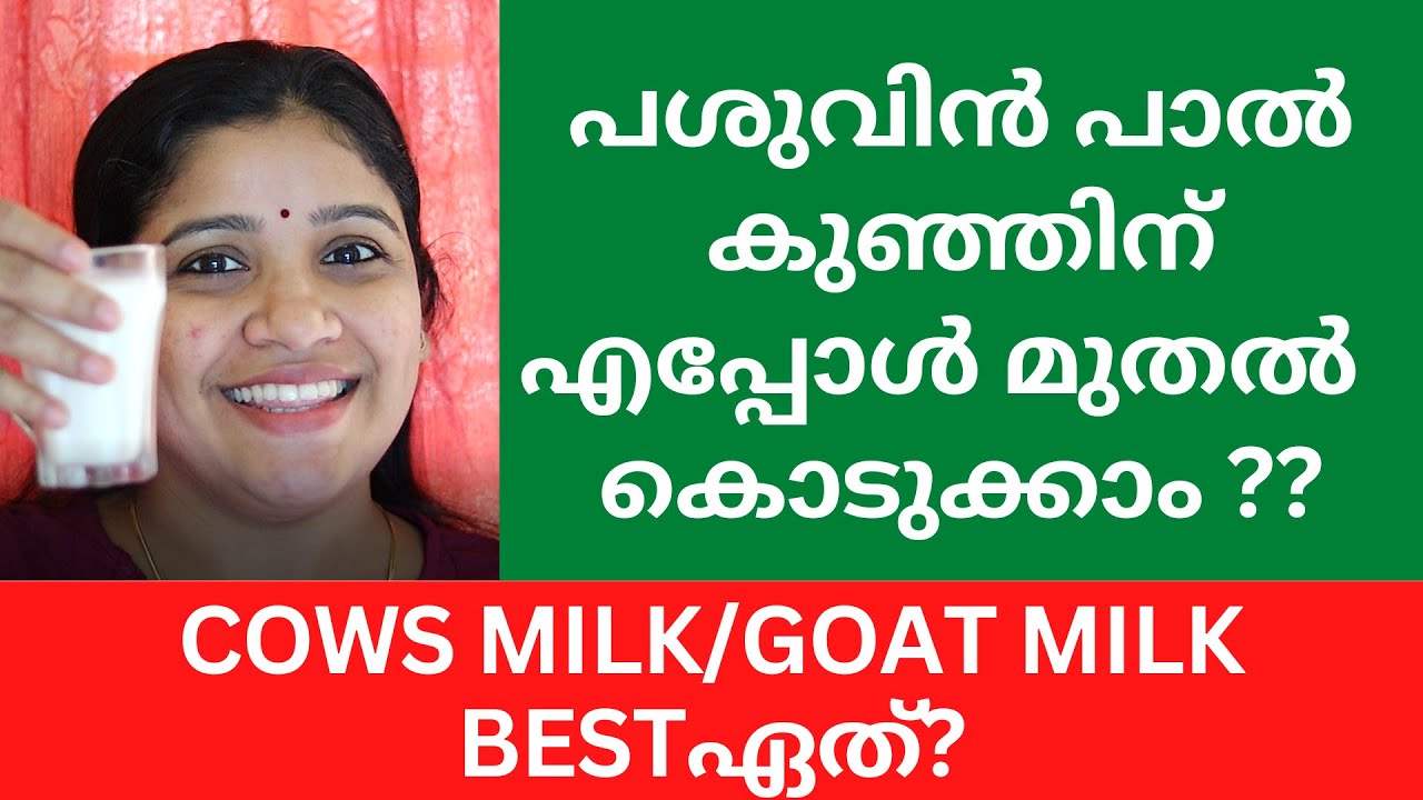 COWS MILK WHEN TO INTRODUCE YouTube