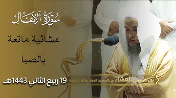 عشائية ماتعة بالصبا للشيخ فيصل غزاوي من سورة الأنفال | 19 ربيع الثاني 1443هـ